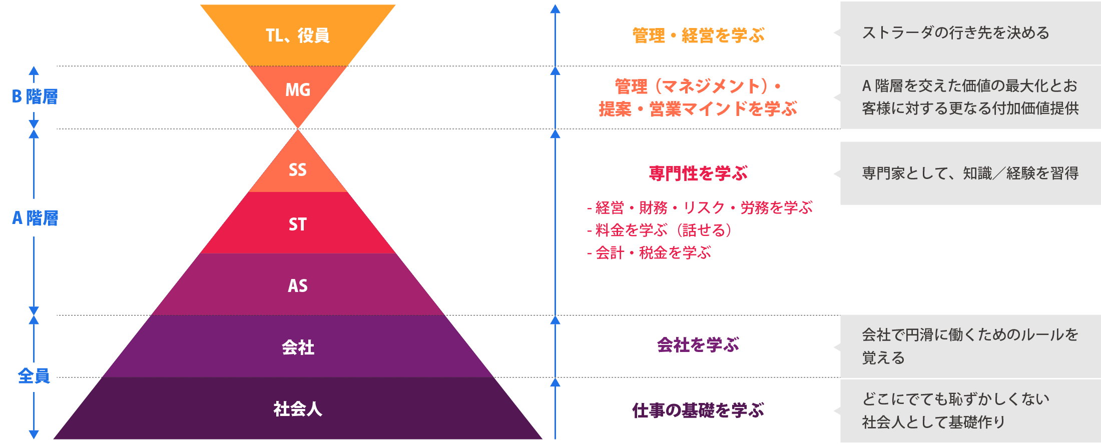 研修カリキュラム