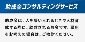 助成金コンサルティングサービス